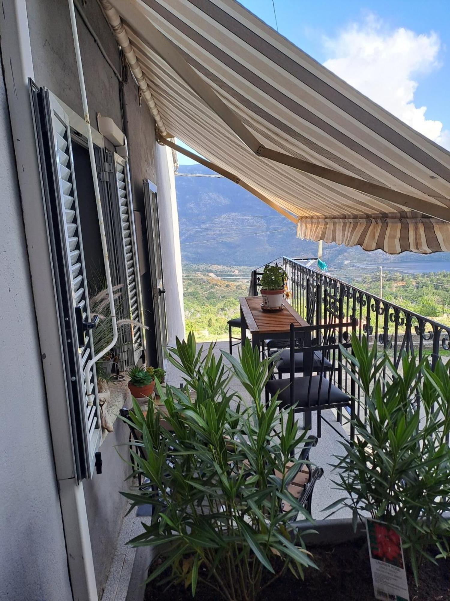 דירות Lozzi Location En Corse Au Pied Du Monte Cintu מראה חיצוני תמונה